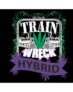 TRAIN WRECK